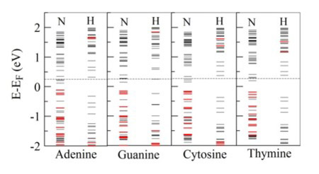 dna_sequencing4