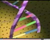 DNA structure