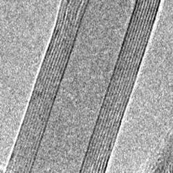 nanotube