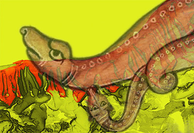 Nano Myths Amphisbaena