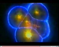 Journey Into Nanotechnology